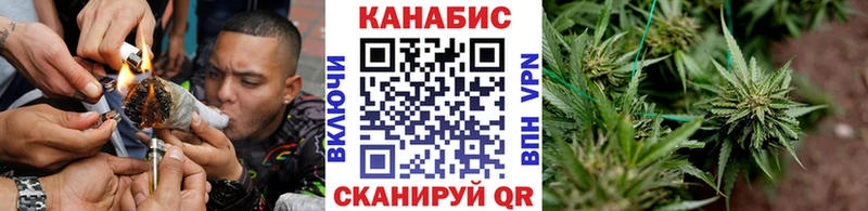 Хочу наркоту Ершов Галлюциногенные грибы ЭКСТАЗИ ГАШИШ Канабис A-PVP