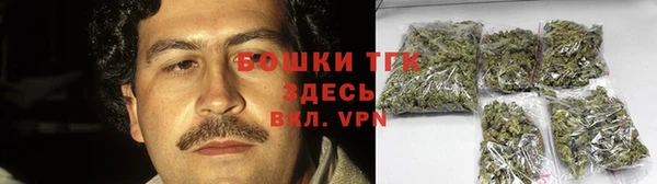 дживик Гусев