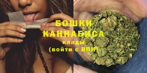 индика Горно-Алтайск