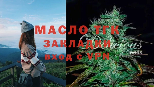 индика Горно-Алтайск