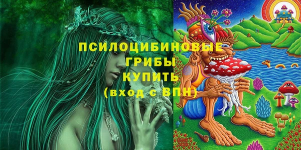 ешки Гусь-Хрустальный