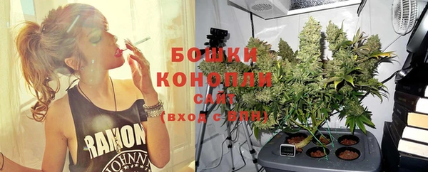 индика Горно-Алтайск