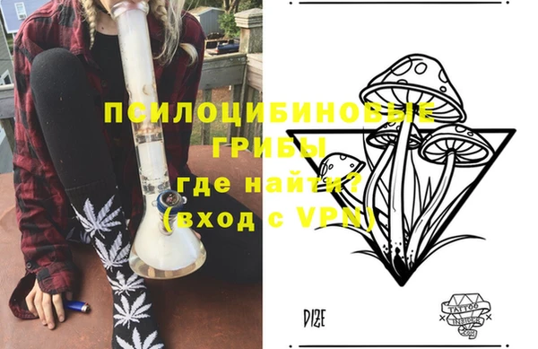 индика Горно-Алтайск