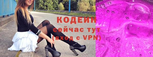 индика Горно-Алтайск