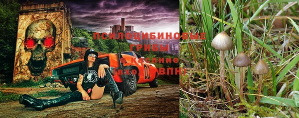 мет Горняк