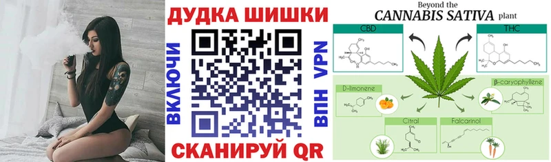 MEGA ONION  Ершов  МАРИХУАНА семена 